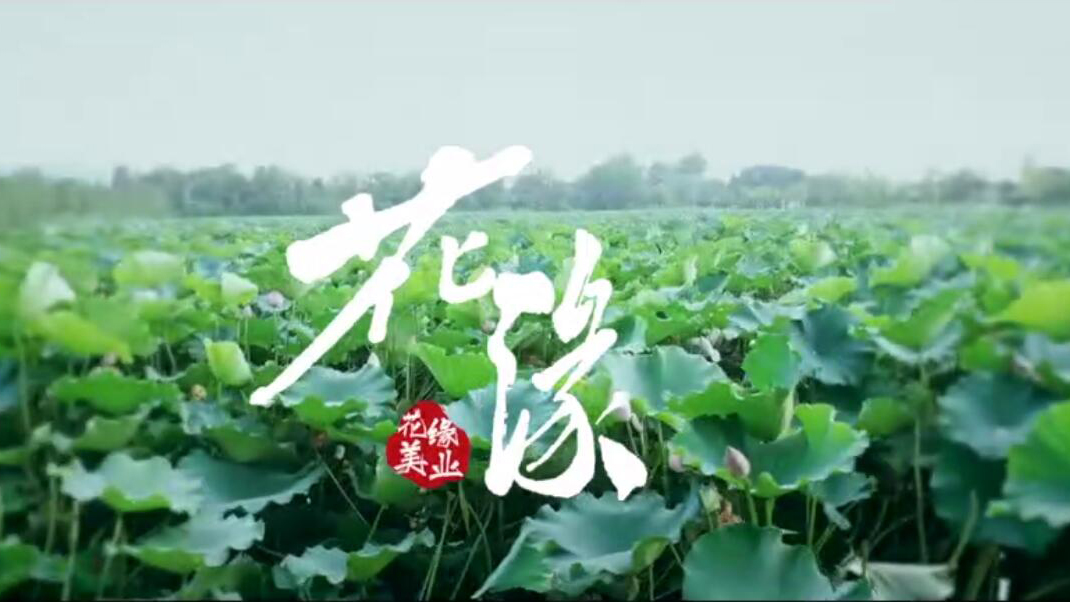 【主題曲】一生摯愛，與花結緣《花緣》MP3